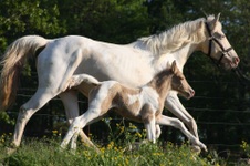 Enlarge photo 58