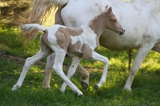 Enlarge photo 60