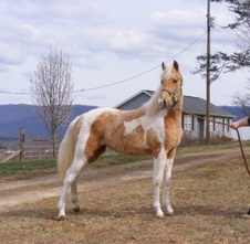 Enlarge photo 19