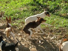 Enlarge photo 64