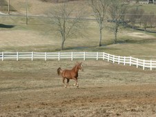 Enlarge photo 79
