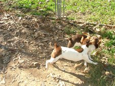 Enlarge photo 51