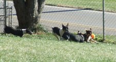 Enlarge photo 26