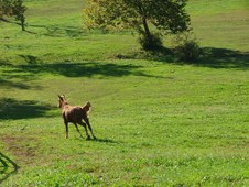 Enlarge photo 62