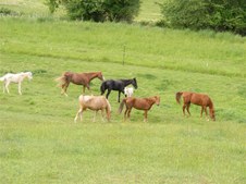 Enlarge photo 1