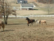 Enlarge photo 55