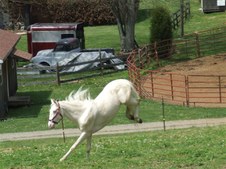 Enlarge photo 45