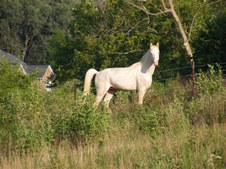 Enlarge photo 32