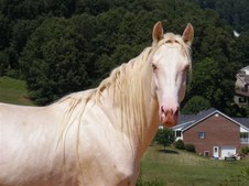 Enlarge photo 30
