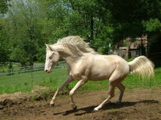 Enlarge photo 58