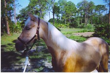 Enlarge photo 42