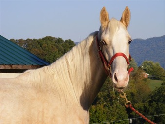 Enlarge photo 25