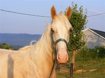 Enlarge photo 32