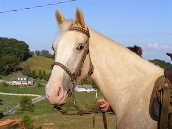 Enlarge photo 23