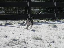 Enlarge photo 2