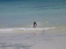 Enlarge photo 43