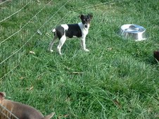 Enlarge photo 155