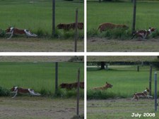 Enlarge photo 58