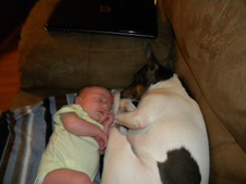 Enlarge photo 18