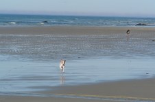 Enlarge photo 66
