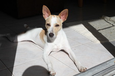 Enlarge photo 13