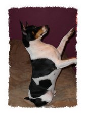 Enlarge photo 144