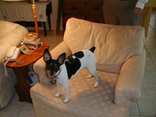 Enlarge photo 138