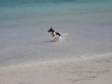 Enlarge photo 42