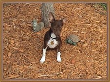 Enlarge photo 107