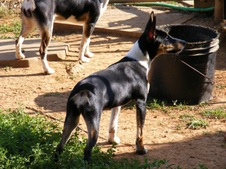 Enlarge photo 2