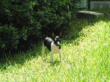 Enlarge photo 23
