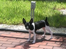 Enlarge photo 24