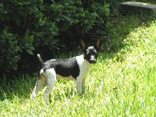 Enlarge photo 26