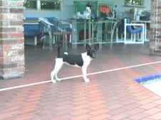 Enlarge photo 17