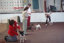 Enlarge photo 11