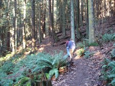 Day 3 hike up from Chukanut Dr