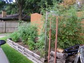 Enlarge photo 10