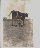 Enlarge photo 32