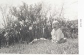 Enlarge photo 43