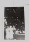 Enlarge photo 48