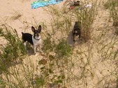 Day at the beach