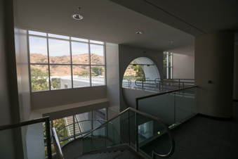 Alfred Mann Foundation