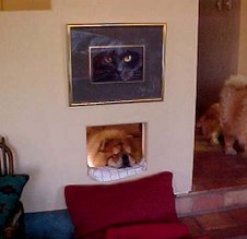 Enlarge photo 10
