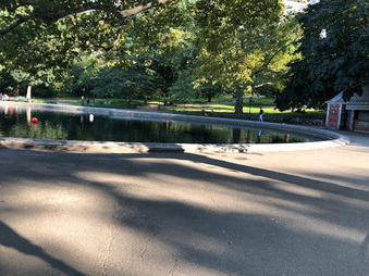 Waitress Near Conservatory