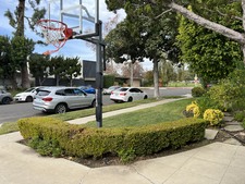 Enlarge photo 5