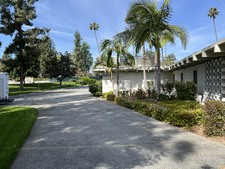 Enlarge photo 41