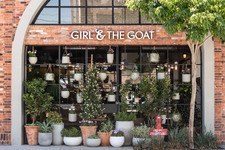 Girl and the Goat