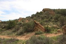 Enlarge photo 11