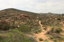 Enlarge photo 18