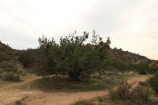 Enlarge photo 19